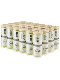Dunlop ATP Championship RD Tennis Ball 24 Can Case