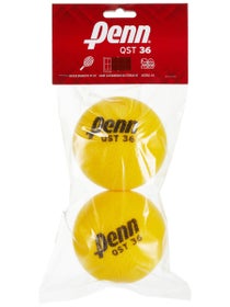 Penn QST 36 Foam 2 Ball Bag
