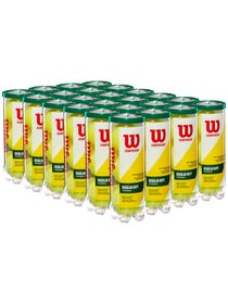 Wilson Champ Regular Duty Tennis Ball 24 Can Case