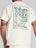 Wilson Men's Sporting Graphic T-Shirt Sandrift S