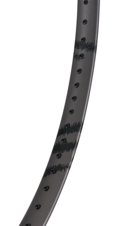 Volkl C10 EVO v2\Racquet